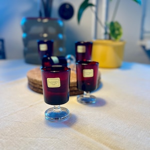 Ruby Shot Aperitif Glasses of Luminarc Cavalier France - Vintage 5 Pieces