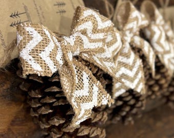 Pinecone Christmas Ornaments - Chevron