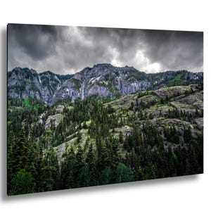 Ouray Colorado Forest Print: San Juan Mountains Landscape Photography