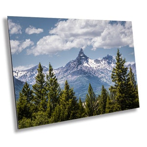 May include: A scenic landscape photograph featuring a mountain range with snow-capped peaks under a blue sky with fluffy white clouds. The foreground is filled with tall, green evergreen trees.