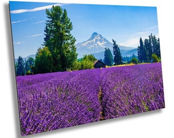 Lavender Dreams: Mt Hood Lavender Fields Wall Art Print Flower Photography Oregon Landscape Aluminum/Acrylic/Metal/Canvas Home Decor