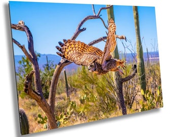 Horned Owl in Flight Wall Art, Desert Wildlife Photography, Arizona Landscape