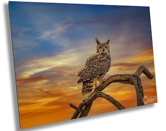 Horned Owl Sunset Photography, Nature Wall Art, Bird of Prey Home Decor