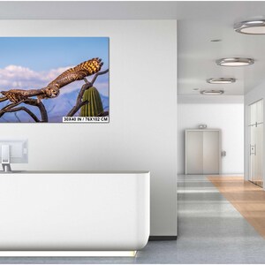May include: A framed print of an owl in flight, perched on a branch with a cactus in the background. The artwork is 30 x 40 inches (76 x 102 cm). The owl has brown and tan feathers, with a blue sky and clouds in the background.