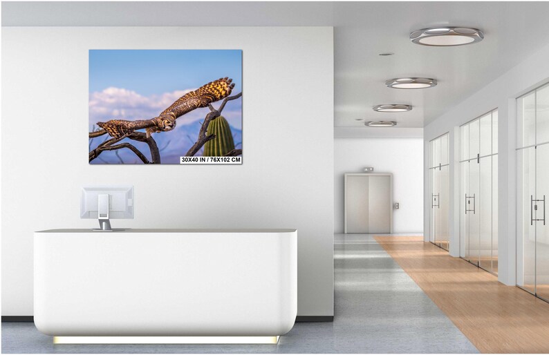 May include: A framed print of an owl in flight, perched on a branch with a cactus in the background. The artwork is 30 x 40 inches (76 x 102 cm). The owl has brown and tan feathers, with a blue sky and clouds in the background.
