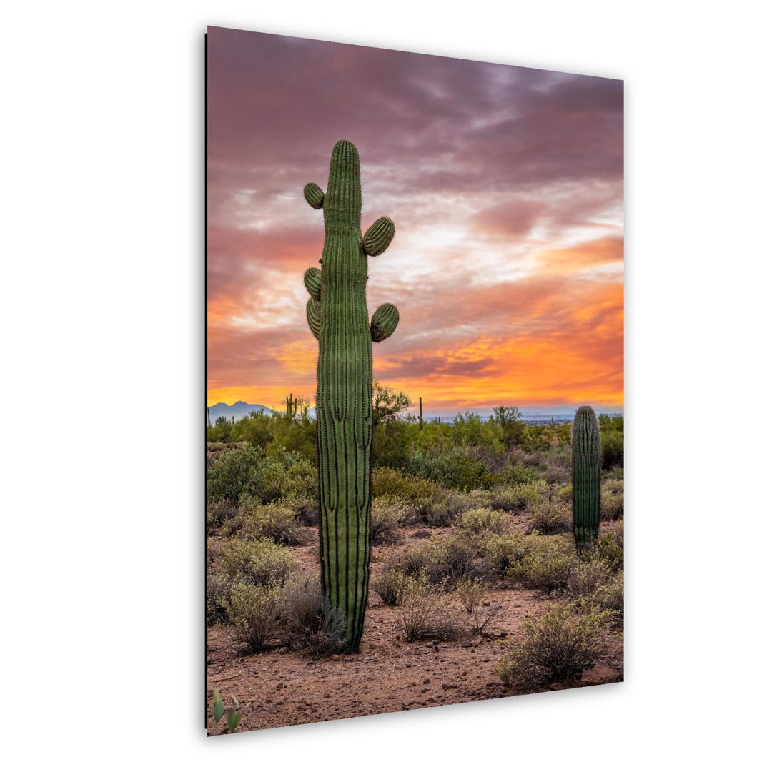 Sonoran Desert With Tall Saguaro Cactus Arizona Wall Art Photography ...