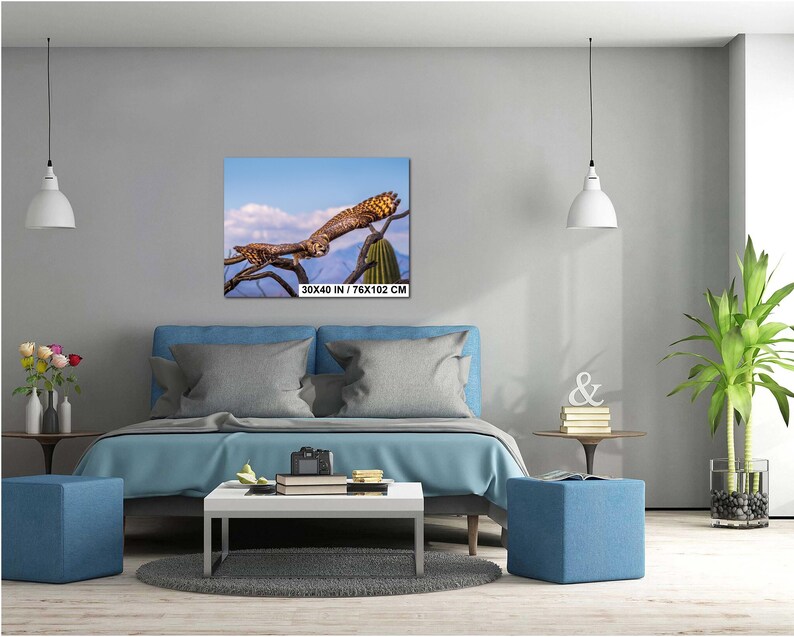 May include: A framed canvas print featuring a detailed image of an owl perched on a tree branch. The owl has brown and tan feathers, with a blue sky and mountain backdrop. The print is labeled "30x40 IN / 76x102 CM".