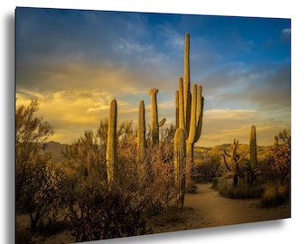 Saguaro National Park Sunset: Sonoran Desert Cactus Photography Wall Art