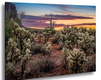 Desert Sunset Photograph, Cholla Cactus and Saguaros, Arizona Photography Wall Art