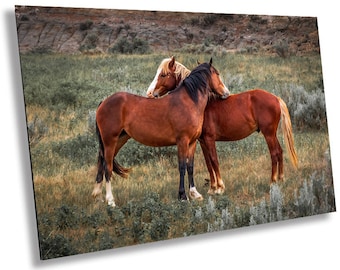 Mare and Stallion: Theodore Roosevelt Park Horse Photography Wall Art
