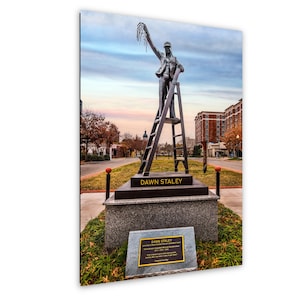May include: A bronze statue of a person standing on a ladder, holding a net aloft. The statue is on a pedestal with the name "DAWN STALEY" inscribed. A plaque with text is at the base, set against a backdrop of a city street and sky.