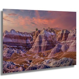 Petrified Forest Arizona Landscape Metal Wall Art