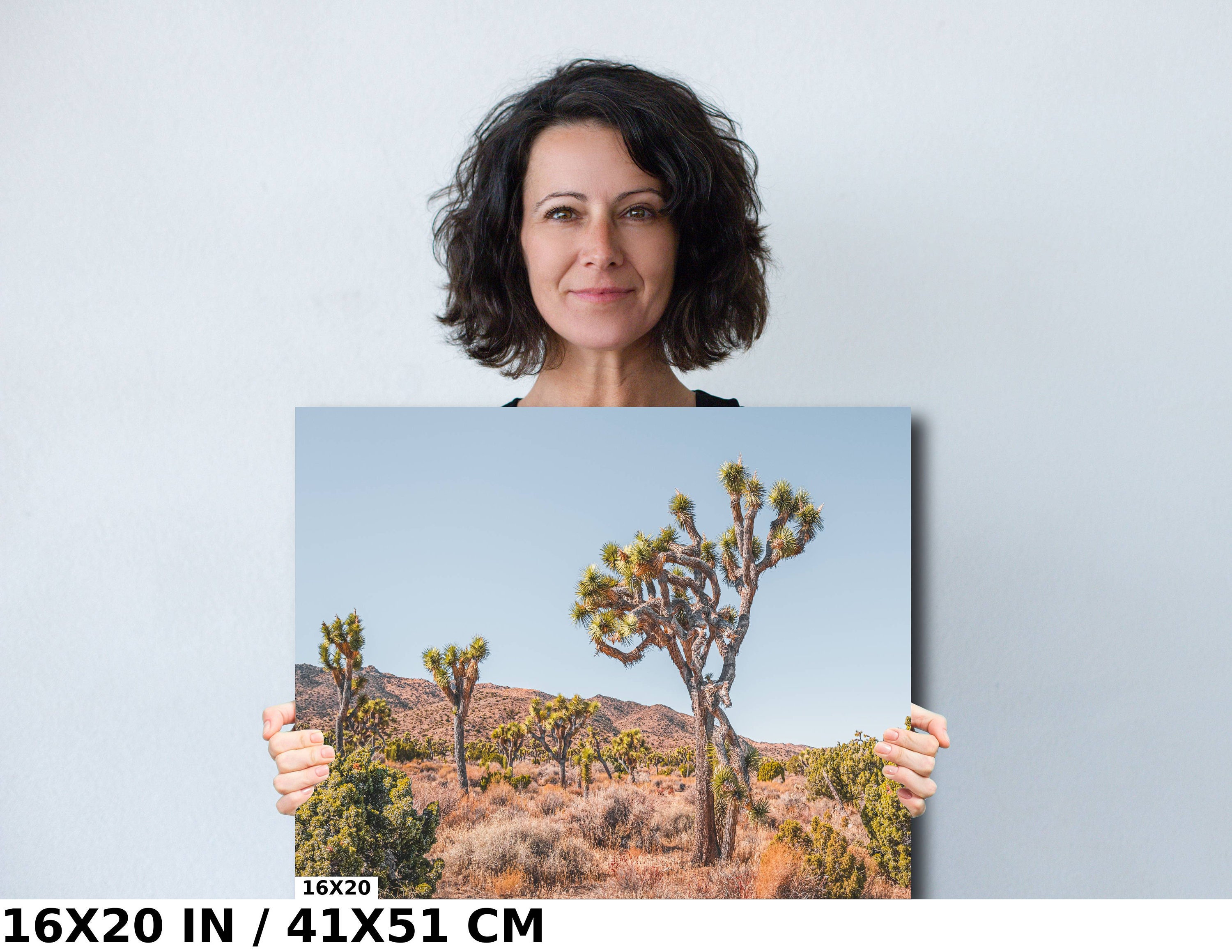 Joshua Tree National Park Art Print: California Desert Landscape - Etsy