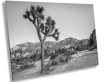 Joshua Tree National Park Art: California Desert Landscape Wall Decor