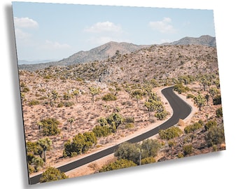 Journey Through Joshua Tree National Park California Wall Art Photography