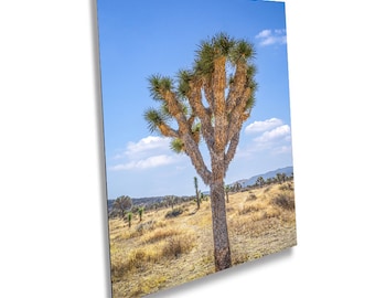 Joshua Tree National Park: Mojave Desert Landscape Wall Art Print