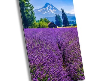 Serenity Blooms: Mt Hood Lavender Fields Wall Art Print Portrait Flower Photography Oregon Home Decor Aluminum/Acrylic/Metal/Canvas