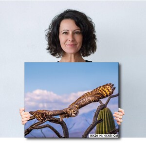 May include: A canvas print featuring a detailed photograph of a Great Horned Owl in flight. The owl, with its brown and yellow plumage, is captured mid-air, perched on a branch against a backdrop of a blue sky, mountains, and a cactus. The print measures 16x20 inches.
