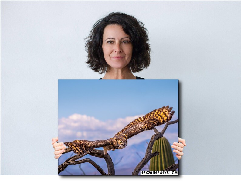May include: A canvas print featuring a detailed photograph of a Great Horned Owl in flight. The owl, with its brown and yellow plumage, is captured mid-air, perched on a branch against a backdrop of a blue sky, mountains, and a cactus. The print measures 16x20 inches.