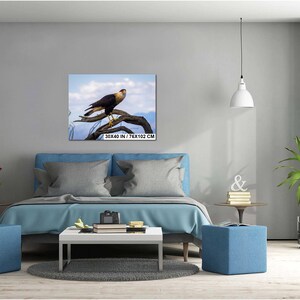 Op de afbeelding: Een ingelijste canvas print met een roofvogel op een tak tegen een blauwe lucht. Het kunstwerk meet 76 x 102 cm. De vogel heeft bruine en witte veren. De tekst op de print luidt: 30X40 IN / 76X102 CM.