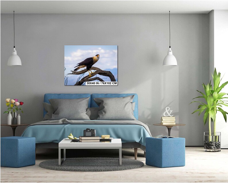Op de afbeelding: Een ingelijste canvas print met een roofvogel op een tak tegen een blauwe lucht. Het kunstwerk meet 76 x 102 cm. De vogel heeft bruine en witte veren. De tekst op de print luidt: 30X40 IN / 76X102 CM.