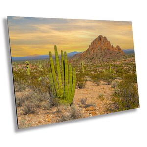 May include: A desert landscape with a large, rocky hill in the background. The foreground features a tall, green cactus with multiple arms.