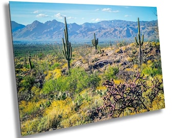 Desert Tapestry: Saguaro National Park East Arizona Cactus Photography Wall Art