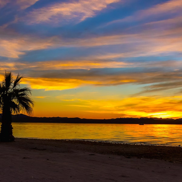 Lake Havasu Wall Art Etsy