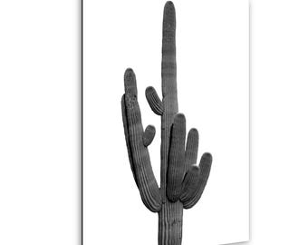 Black and White Saguaro Cactus Arizona Desert Photography Wall Art