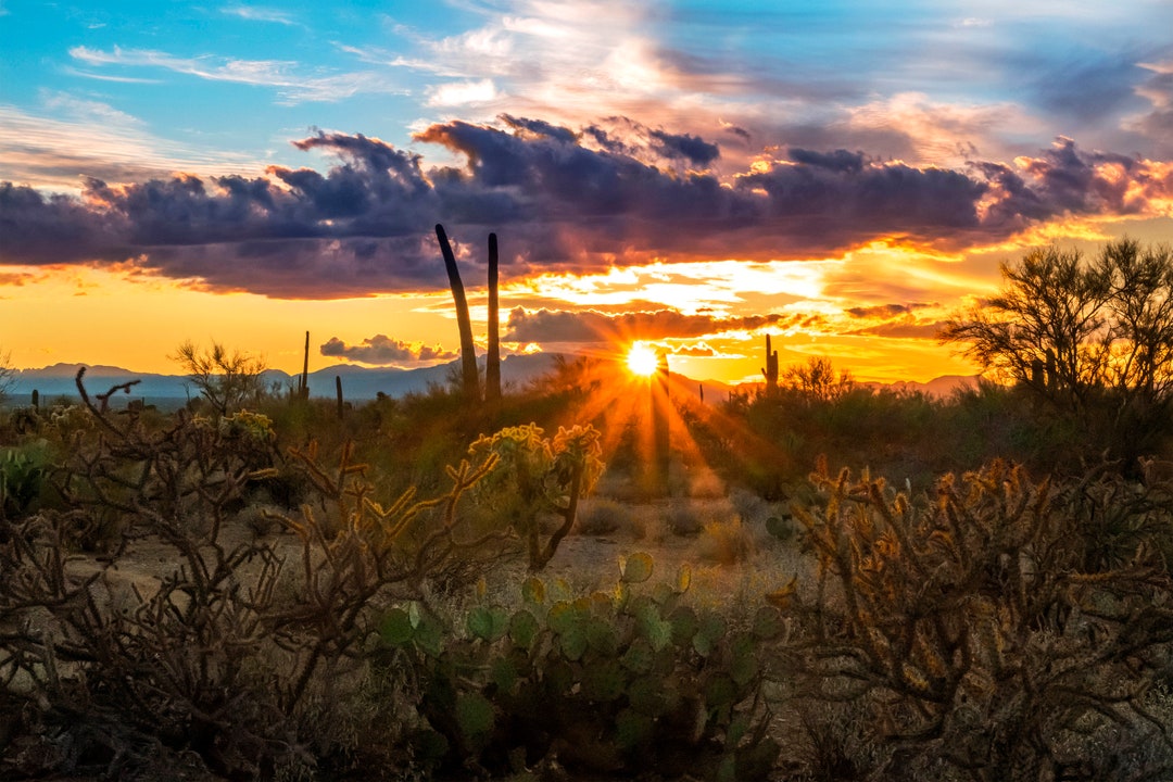 Sun-Kissed Serenity: Arizona's Lake Martinez Recreation Area - Your Yuma Oasis