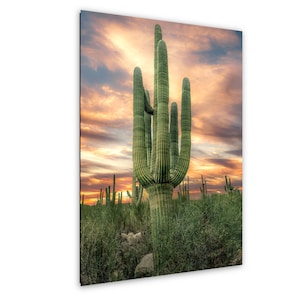 May include: A vibrant print of a desert landscape featuring a large saguaro cactus with multiple arms, set against a colorful sunset sky. The foreground shows green vegetation and other cacti, creating a scenic desert vista.