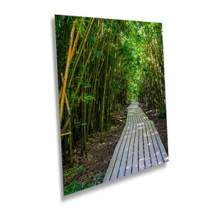 Maui Bamboo Forest Print: Pipiwai Trail, Haleakala National Park