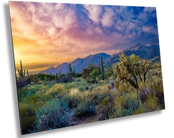 Sabino Canyon Sunset Print: Tucson Arizona Cactus Landscape Wall Art