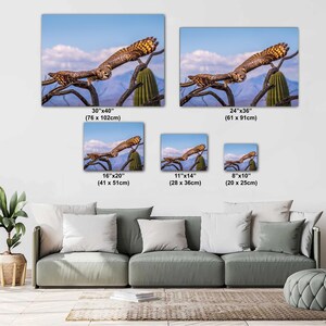 May include: Canvas prints of an owl in flight, set against a backdrop of a blue sky, mountains, and a cactus. The prints are available in various sizes, including 30x40 inches, 24x36 inches, 16x20 inches, 11x14 inches, and 8x10 inches.
