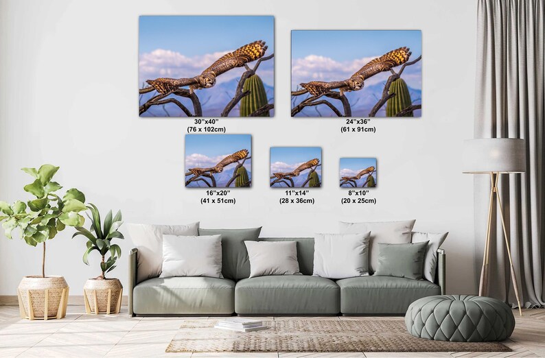 May include: Canvas prints of an owl in flight, set against a backdrop of a blue sky, mountains, and a cactus. The prints are available in various sizes, including 30x40 inches, 24x36 inches, 16x20 inches, 11x14 inches, and 8x10 inches.