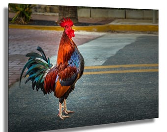 Key West Rooster Print: Florida Animal Wall Art