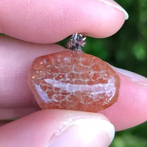 Real Shed Snake Skin in Resin on Sunstone Pendant, 18&quot; Curb Chain Necklace