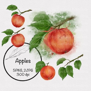 Apples, apple tree, sublimation design, png, apple on branch, digital download, clipart, watercolor, red apple, autumn, harvest, leaves