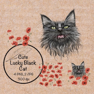 Chat noir porte-bonheur avec coquelicots Art du maine coon, cadeau magique pour les amoureux des chats, fleurs de sorcellerie