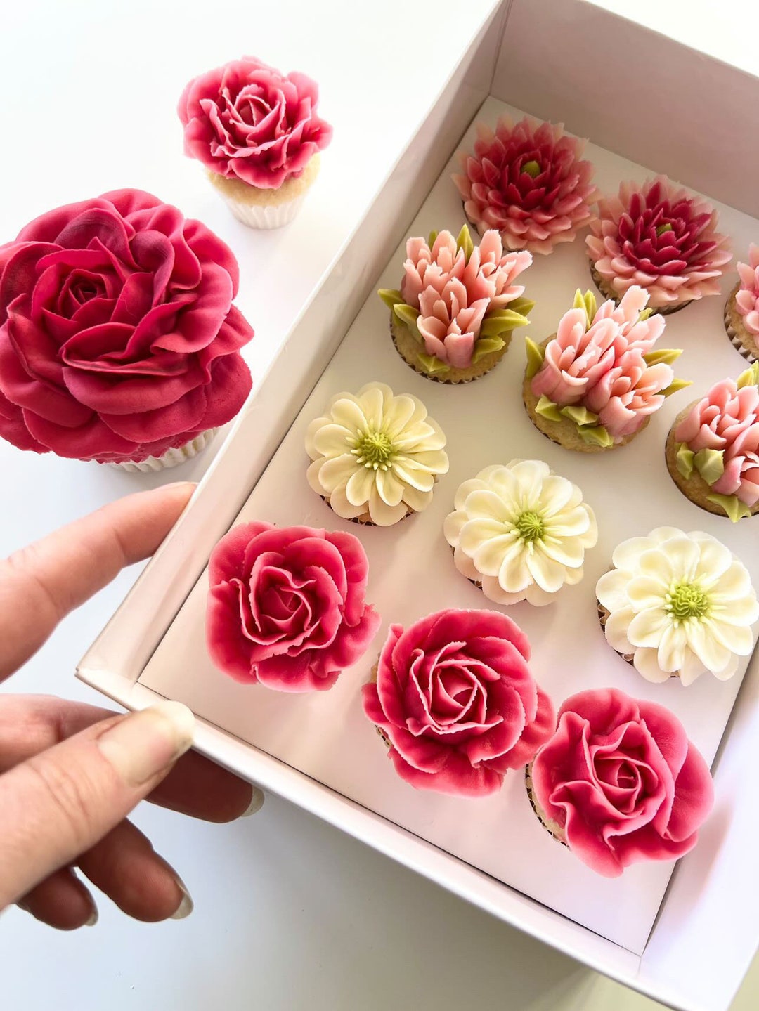 12 Hole Mini Cupcake Boxes With Clear Lids Etsy UK