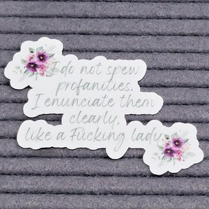 I don't spew profanity; I enunciate them clearly like a f**king lady! / waterproof vinyl sticker decal, adult humor, sarcasm