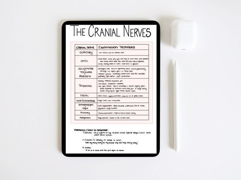 Cranial Nerves Cheat Sheet and Study Notes Medicine - Etsy UK