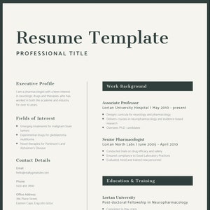 Resume Template, Modern Resume Template, Professional Resume, Downloadable Resume Template, Digital Resume Outline, CV Template