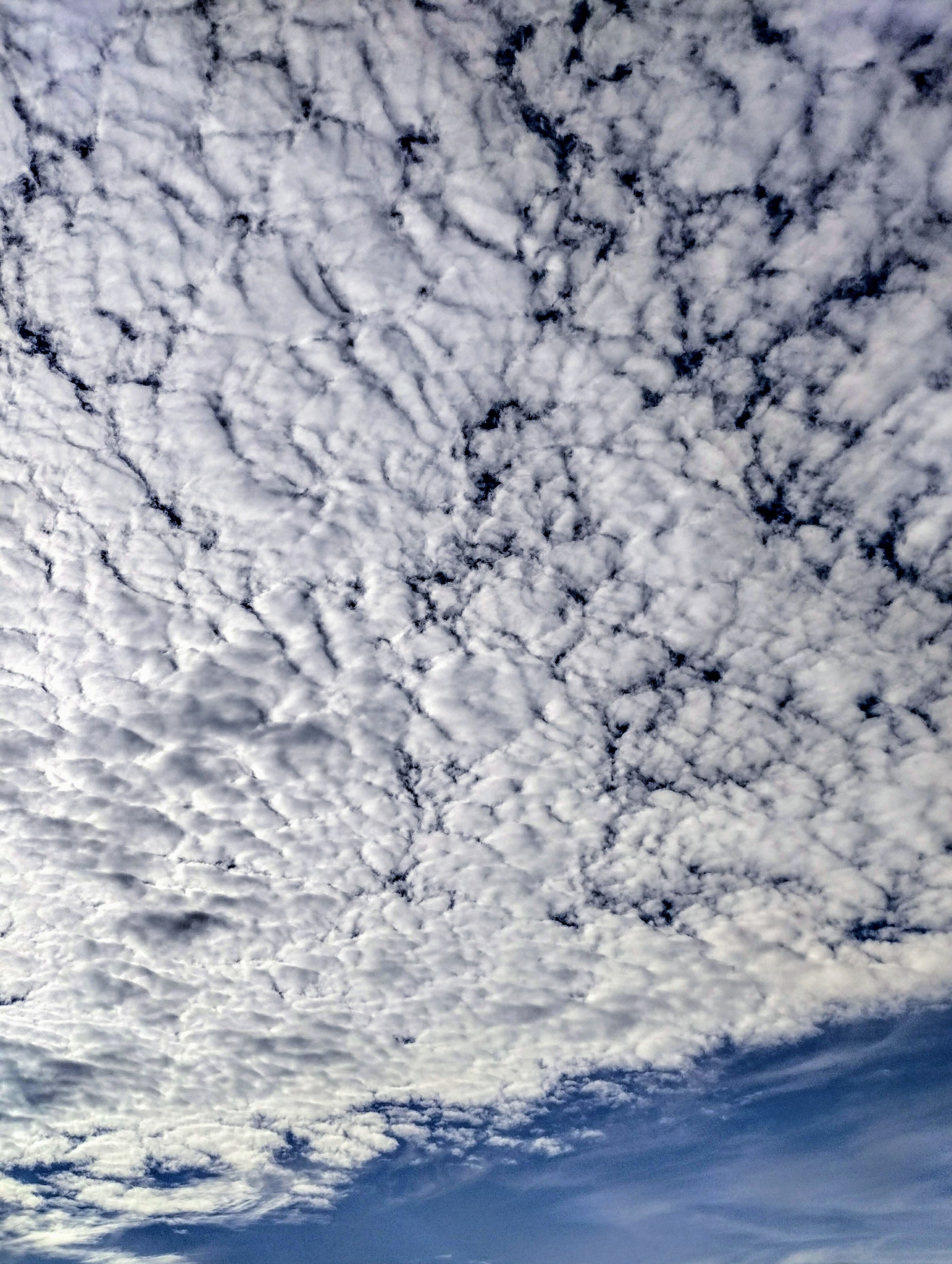 Cotton Ball Clouds Etsy