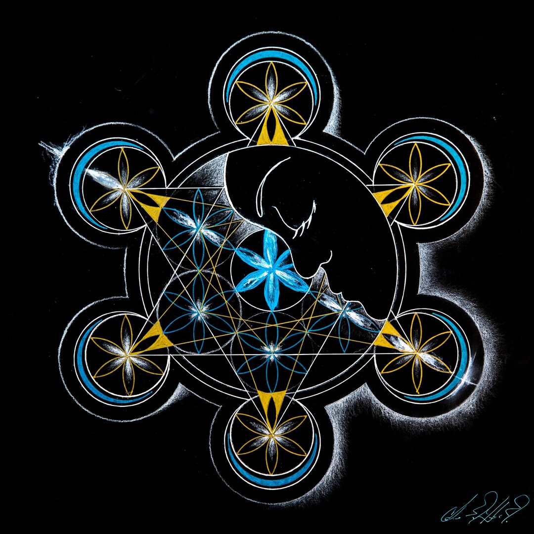 METATRON’S CUBE- the Shadow Emerges - Etsy