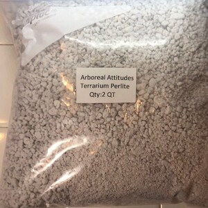 Pode incluir: Um saco de plástico transparente cheio de perlita branca, um material leve e poroso usado na jardinagem e terrários. O saco tem um rótulo que diz "Arboreal Attitudes Terrarium Perlite Qty: 2 QT".