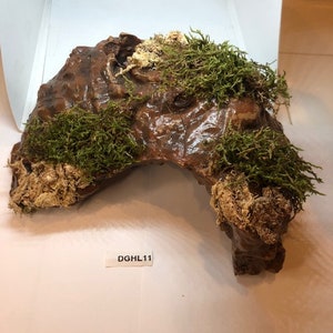 Arboreal Attitudes Weighted Ground Hides For Terrariums And Cages For Reptiles
