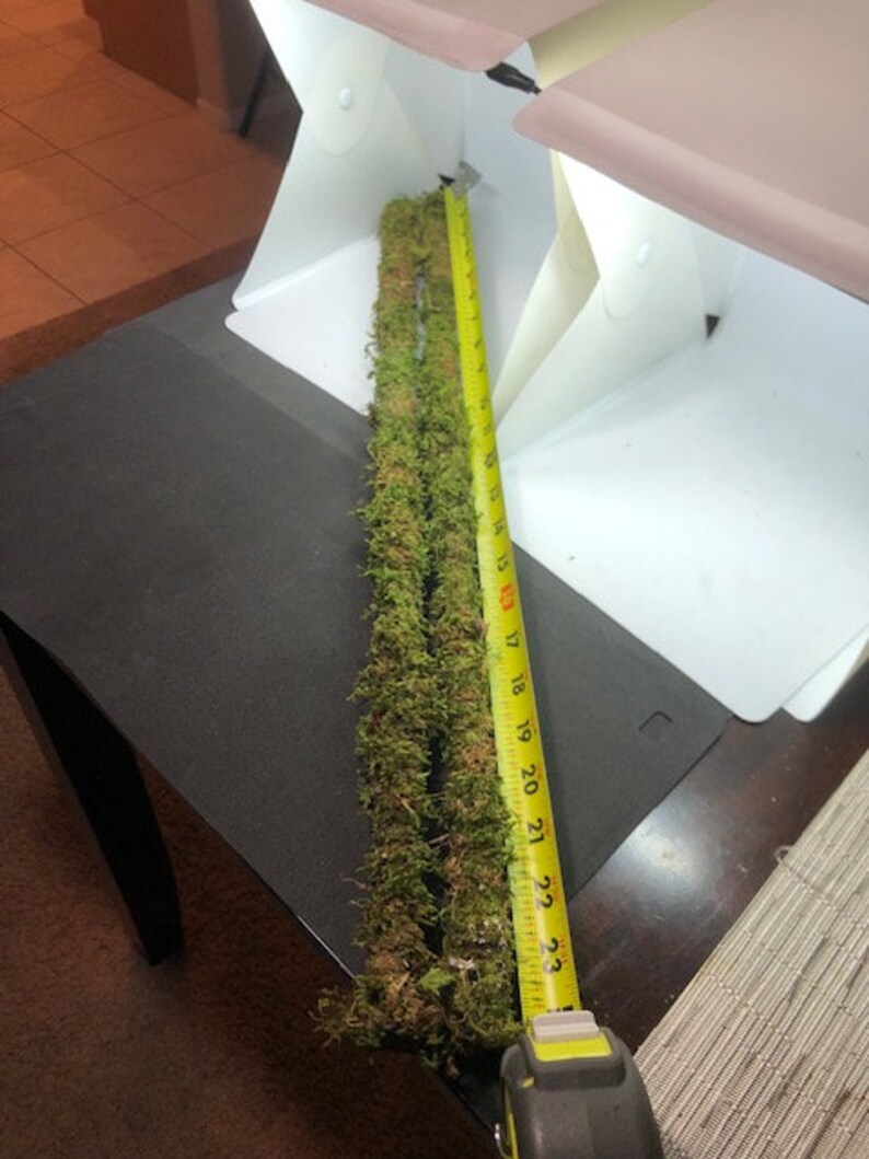 24 in Organic Sheet Mossed 1/4 in Poles for Your Terrariums or Plants ...