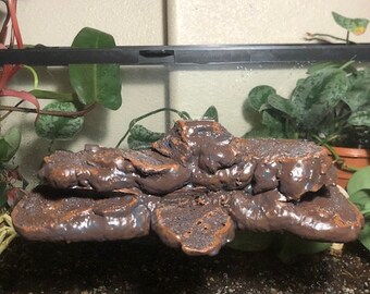 Extra Large Desert Magnetic Rock Ledge for Terrariums And Reptiles