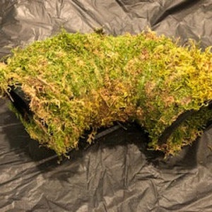 Corrugated Reptile Hides For Arboreal, Terrestrial, Underground And Quarantining Reptiles For Your Terrariums 14 Inch Fully Mossed